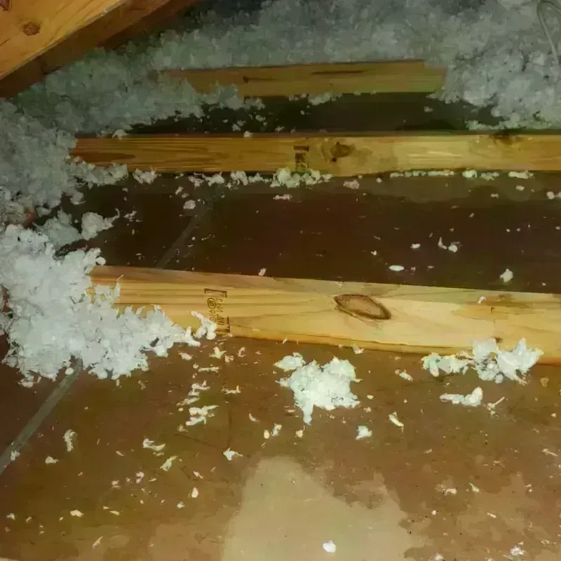 Attic Water Damage in Fort Riley North, KS